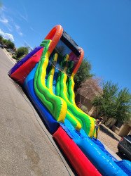 20 ft Dual Lane Slide Wet